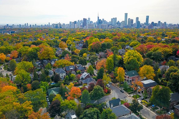 Picture of Toronto